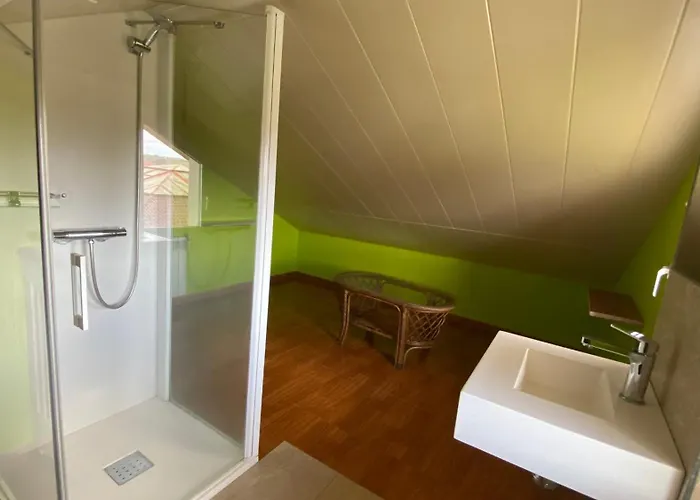 Despertar Con El Sonido De Pajaros *