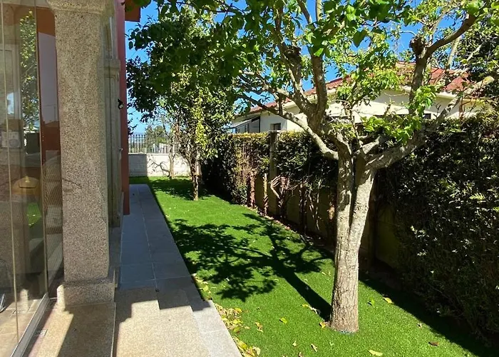 Despertar Con El Sonido De Pajaros Pansiyon Melide